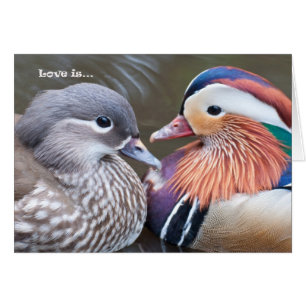 Cartão O amor é... Mandarinas