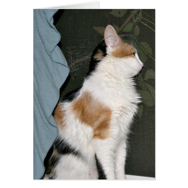 Cartão O amor espera (Frente)