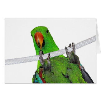 Cartão O anfitrião