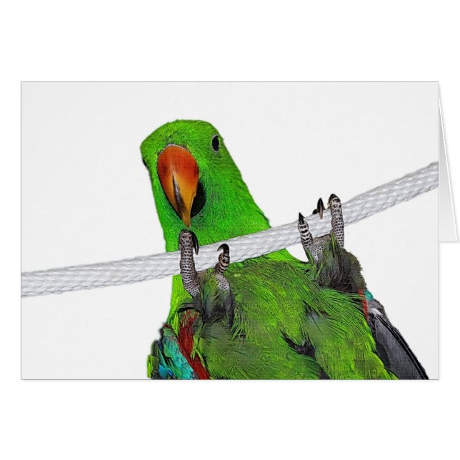 Cartão O anfitrião (Frente Horizontal)