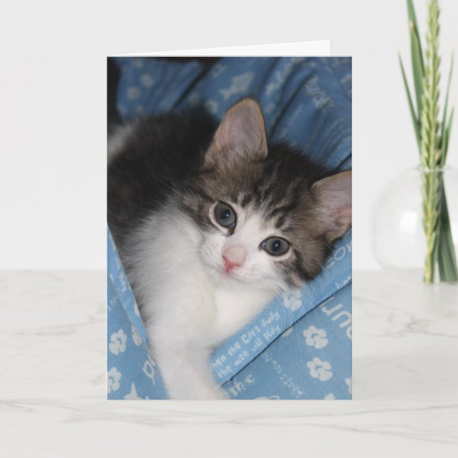 Cartão O aniversário deseja "o Purr--aniversário do fect (Frente)