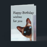 Cartão O aniversário engraçado deseja o humor do animal<br><div class="desc">O aniversário engraçado deseja a gato Siamese o humor animal você acima.   Aperfeiçoe para essa pessoa em sua vida com um sentido de humor,  um amor dos gatos e um aniversário</div>