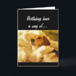 Cartão O aniversário engraçado que Sneaking acima em você<br><div class="desc">Os aniversários têm uma maneira de sneaking acima em você.  Espere que este não o travou pela surpresa.  Cão bonito surpreendido do feliz aniversario</div>