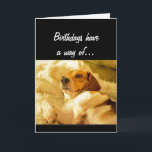 Cartão O aniversário engraçado que Sneaking acima em você<br><div class="desc">Os aniversários têm uma maneira de sneaking acima em você.  Espere que este não o travou pela surpresa.  Cão bonito surpreendido do feliz aniversario</div>