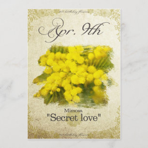 Cartão O aniversário floresce o 9 de abril o "Mimosa "