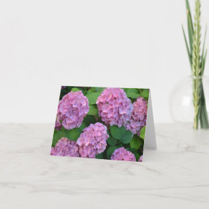 Cartão O arbusto de hortênsia rosa Hortensia