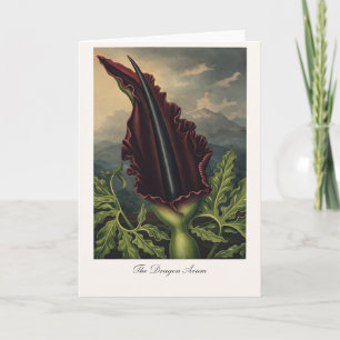 Cartão O Arum do Dragão — Reinterpretação Botânica Modern