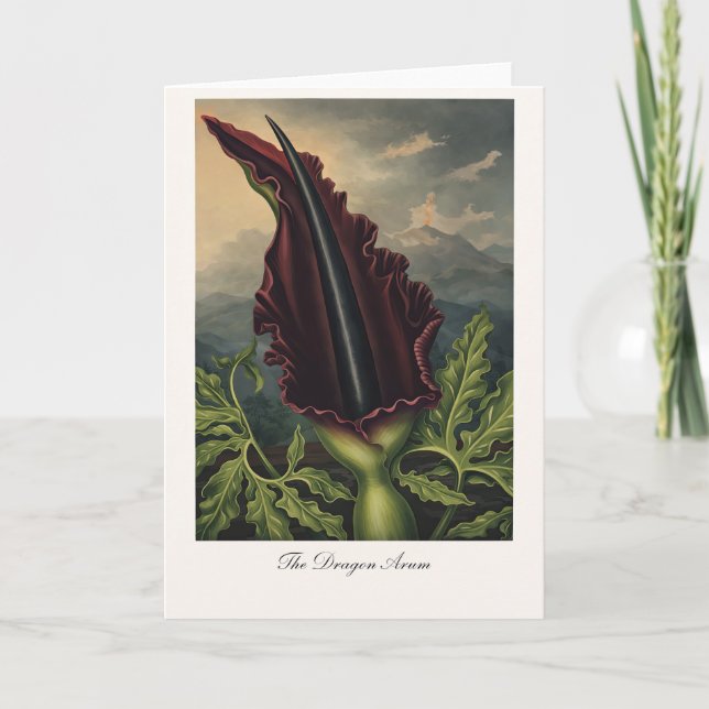 Cartão O Arum do Dragão — Reinterpretação Botânica Modern (Frente)