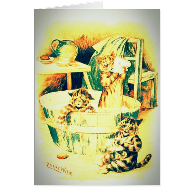 Cartão O banho do gato (Frente)