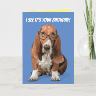 Cartão O Basset Hound, vejo que é seu aniversário