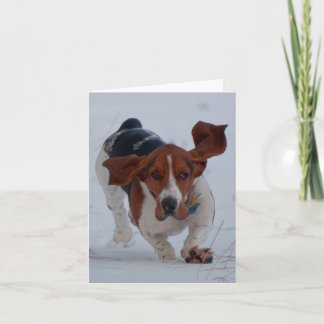 Cartão O Basset jejua