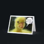 CARTÃO O BEBÊ DUCK DIZ QUE ESPERO QUE O SEU ANIVERSÁRIO S<br><div class="desc">ESTA É A EXCELENTE PARA A PESSOA EM SUA VIDA POR "QUALQUER ANIVERSÁRIO" QUE ELES PODEM ESTAR CELEBRANDO PARA ESTE PATO É SÉRIO...  OLHA PARA ESSE ROSTO.</div>