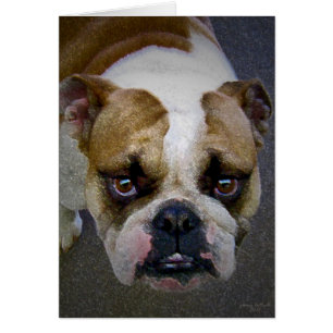 Cartão O buldogue