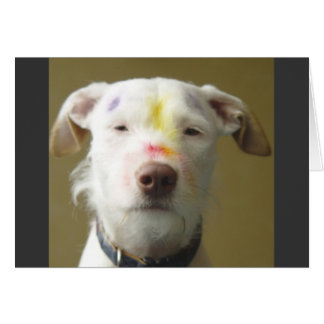 Cartão O Cachorro Artístico