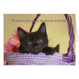 Cartão O Cachorro Fez