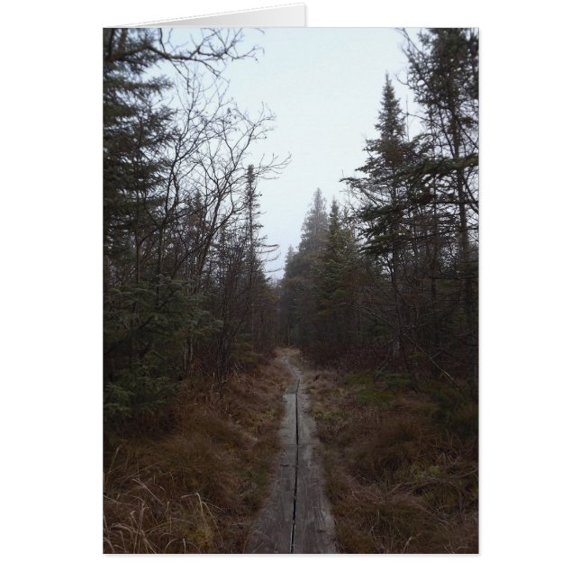 Cartão o caminho (Frente)