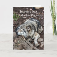 O câncer parece estar entre a cruz e a espada