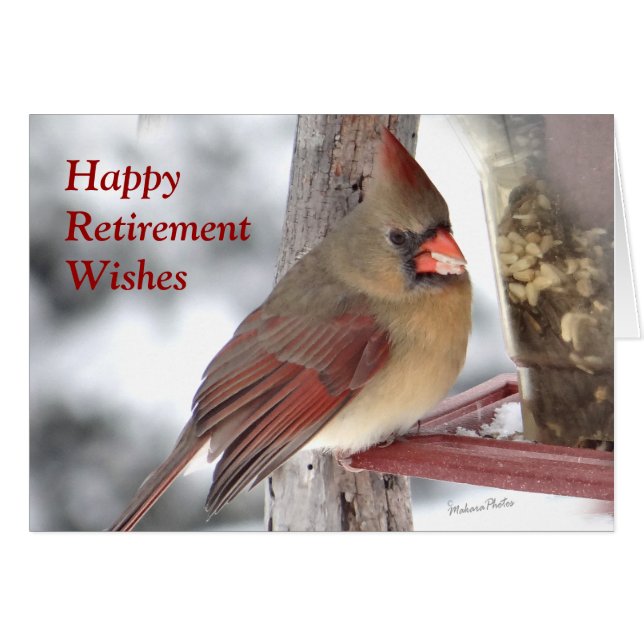 Cartão O cardeal 6649 xc - personalize (Frente Horizontal)