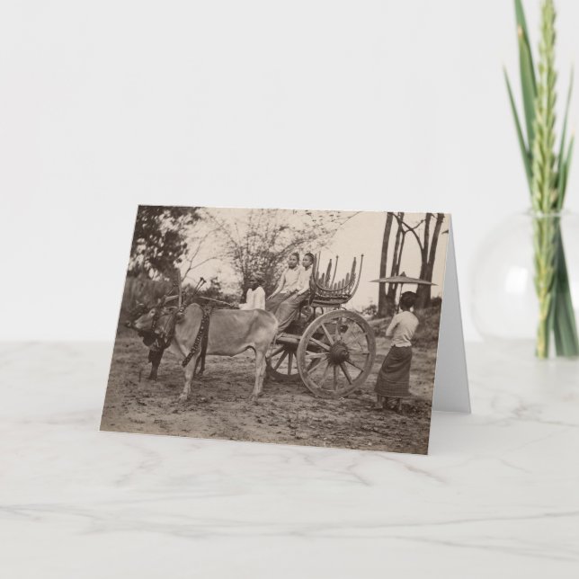 Cartão O carro puxou por dois bois em Mandalay, Burma (Frente)