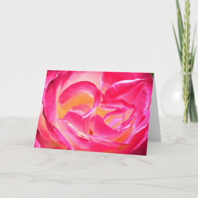 Cartão O casaco de Joseph (Frente)