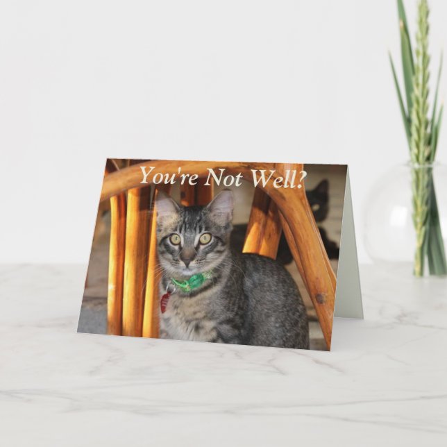 Cartão O Cáspio Vai Ficar Bem Logo (Frente)