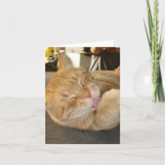 CARTÃO O CAT NOTA CARD-BLANK