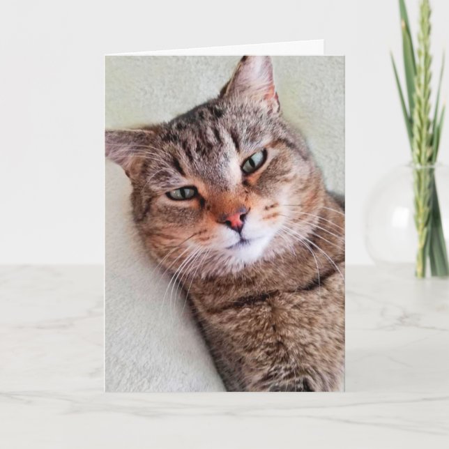 Cartão O Cat Personalizado Perde Muito De Você (Frente)