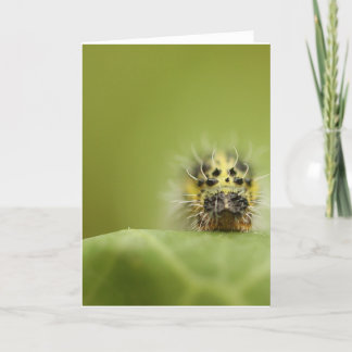 Cartão o catapillar com fome