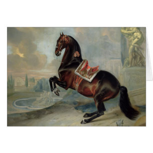 Cartão O cavalo de baía escuro 'Valido