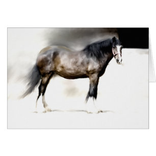 Cartão O CAVALO de CONDADO o mais grande de BERTHA