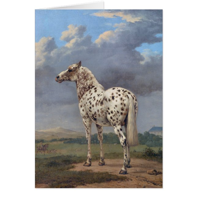 Cartão O Cavalo Piebald (Frente)