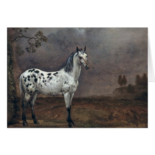 Cartão O Cavalo Piebald, 1653 (Frente Horizontal)