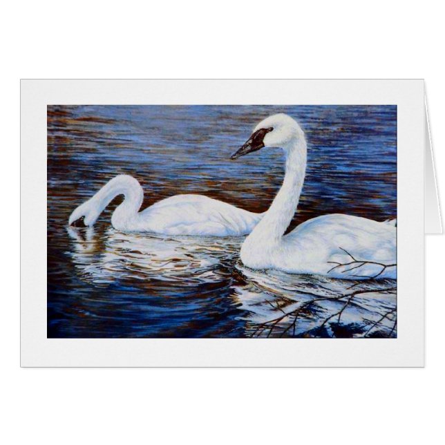 Cartão O cisne tímido (Frente Horizontal)