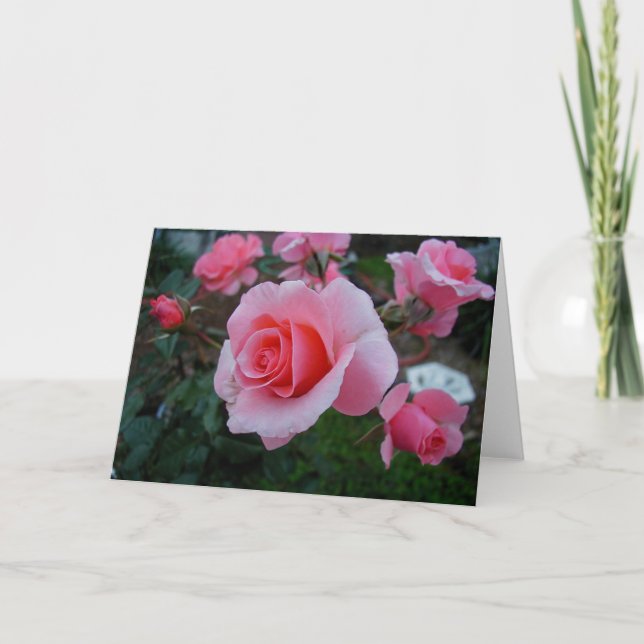 Cartão O citrino amola (Frente)