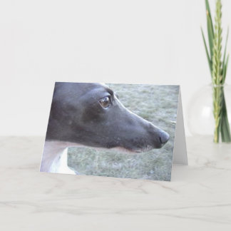 Cartão O close-up da Lizzie