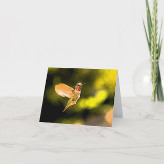 Cartão O colibri de Anna