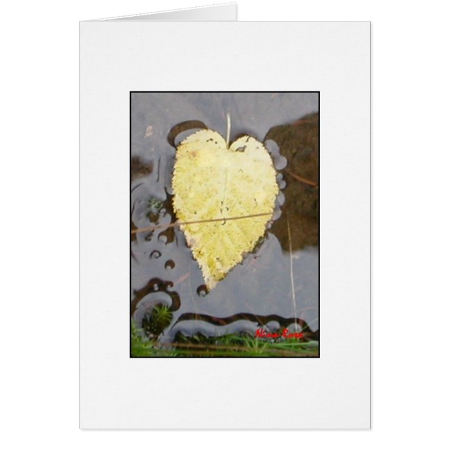 Cartão O coração da natureza (Frente)