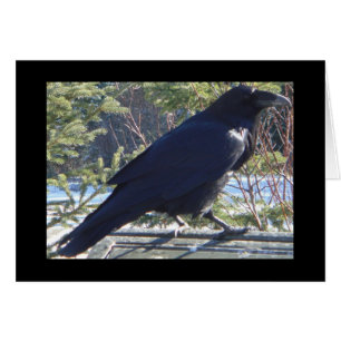 Cartão o corvo