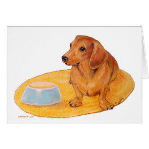 Cartão O Dachshund espera o comensal