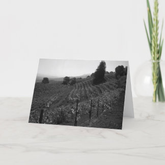 Cartão O detalhe, vinhedos do negociante de panos