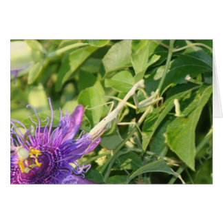 Cartão O deus está nos detalhes