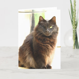 Cartão O Dia das Bruxas-Um Eyed o gato preto