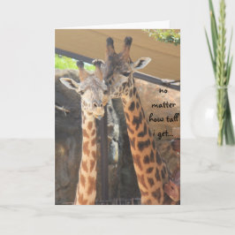 Cartão O dia dos pais, girafas, olha-lhe sempre acima o