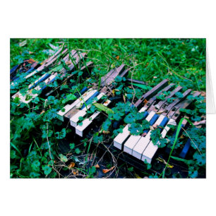 Cartão O dia em que a música morreu - placa de Dentro do