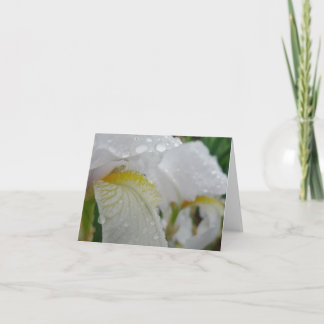Cartão O dia novo jardina íris 'Florintina de Notecard-