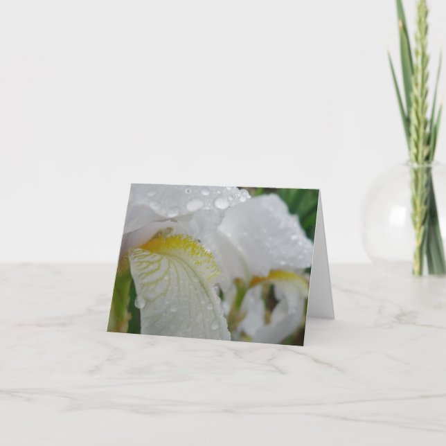 Cartão O dia novo jardina íris 'Florintina de Notecard- (Frente)