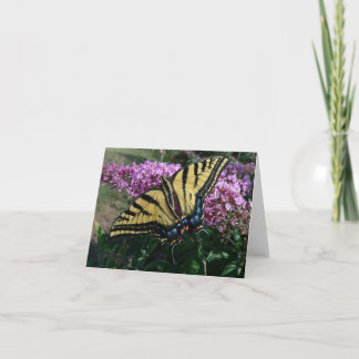 Cartão O dia novo jardina Notecard- Swallowtail ocidental