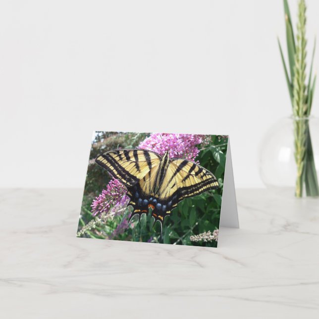 Cartão O dia novo jardina Swallowtail Notecard-Ocidental (Frente)