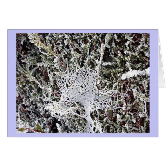 Cartão O discurso do Titania (Frente Horizontal)