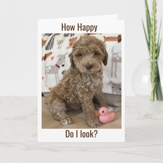 CARTÃO O DOODLE PUP DESEJA **UM ANIVERSÁRIO FELIZ TARDE** (Frente)